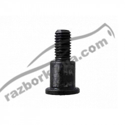 Болт заспокоювача ланцюга VW Passat B6 2.0 TFSI / CAW (2006-2009) фото