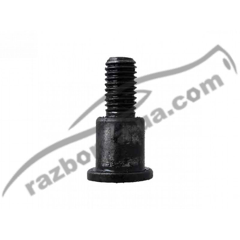 Болт заспокоювача ланцюга VW Passat B6 2.0 TFSI / CAW (2006-2009) фото