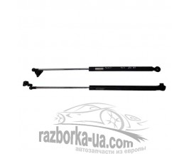 Амортизатор крышки багажника Honda Civic (1996-2001) 2-х дверный хечбек фото Амортизатор крышки багажника Honda Civic (1996-2001) 2-х дверный хечбек фото